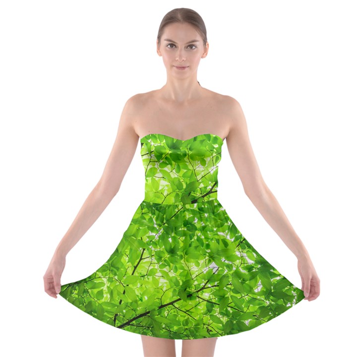 Green Wood The Leaves Twig Leaf Texture Strapless Bra Top Dress