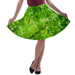 Green Wood The Leaves Twig Leaf Texture A-line Skater Skirt by Nexatart