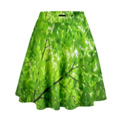 Green Wood The Leaves Twig Leaf Texture High Waist Skirt by Nexatart