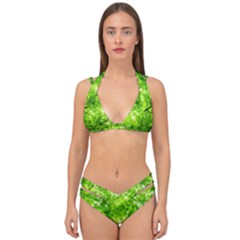 Green Wood The Leaves Twig Leaf Texture Double Strap Halter Bikini Set by Nexatart