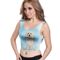 Cute Little Havanese Puppy Crop Top by FantasyWorld7