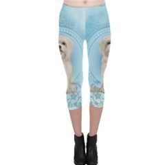 Cute Little Havanese Puppy Capri Leggings  by FantasyWorld7