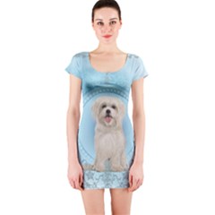 Cute Little Havanese Puppy Short Sleeve Bodycon Dress by FantasyWorld7