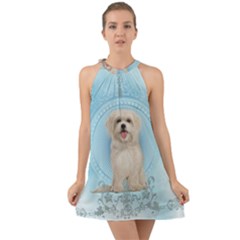 Cute Little Havanese Puppy Halter Tie Back Chiffon Dress