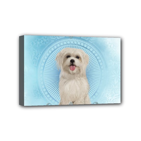 Cute Little Havanese Puppy Mini Canvas 6  X 4  by FantasyWorld7