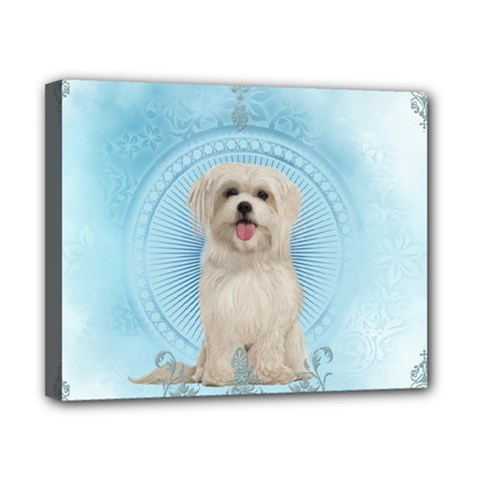 Cute Little Havanese Puppy Canvas 10  X 8  by FantasyWorld7