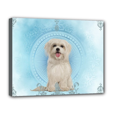 Cute Little Havanese Puppy Canvas 14  X 11  by FantasyWorld7