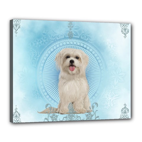 Cute Little Havanese Puppy Canvas 20  X 16  by FantasyWorld7