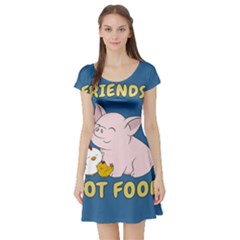 Friends Not Food - Cute Pig And Chicken Short Sleeve Skater Dress by Valentinaart