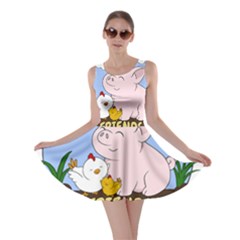 Friends Not Food - Cute Pig And Chicken Skater Dress by Valentinaart