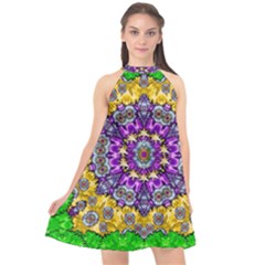 Sunshine In Mind The Season Is Decorative Fine Halter Neckline Chiffon Dress  by pepitasart