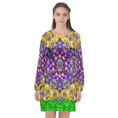 Sunshine In Mind The Season Is Decorative Fine Long Sleeve Chiffon Shift Dress  by pepitasart