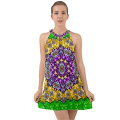 Sunshine In Mind The Season Is Decorative Fine Halter Tie Back Chiffon Dress by pepitasart