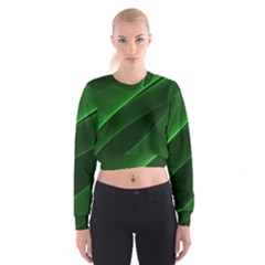 Background Light Glow Green Cropped Sweatshirt by Nexatart