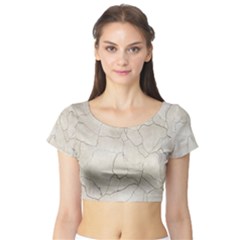 Background Wall Marble Cracks Short Sleeve Crop Top by Nexatart