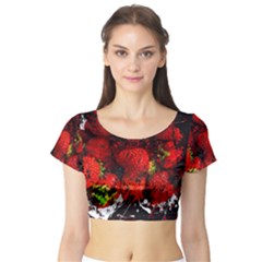 Strawberry Fruit Food Art Abstract Short Sleeve Crop Top by Nexatart