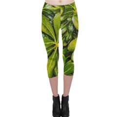 Top View Leaves Capri Leggings 