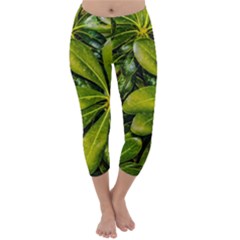 Top View Leaves Capri Winter Leggings  by dflcprints