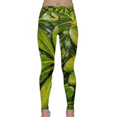 Top View Leaves Classic Yoga Leggings by dflcprints