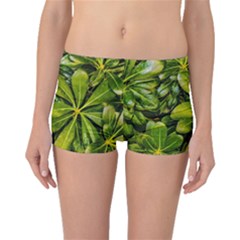 Top View Leaves Boyleg Bikini Bottoms by dflcprints