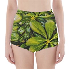 Top View Leaves High-waisted Bikini Bottoms by dflcprints