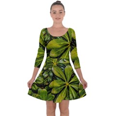 Top View Leaves Quarter Sleeve Skater Dress by dflcprints