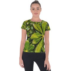 Top View Leaves Short Sleeve Sports Top 