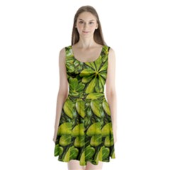 Top View Leaves Split Back Mini Dress  by dflcprints