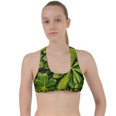 Top View Leaves Criss Cross Racerback Sports Bra by dflcprints