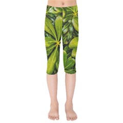 Top View Leaves Kids  Capri Leggings  by dflcprints