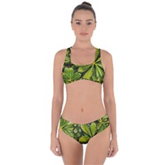 Top View Leaves Criss Cross Bikini Set by dflcprints