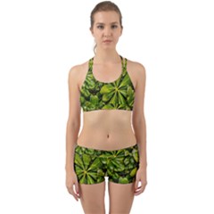 Top View Leaves Back Web Sports Bra Set by dflcprints