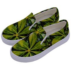 Top View Leaves Kids  Canvas Slip Ons by dflcprints