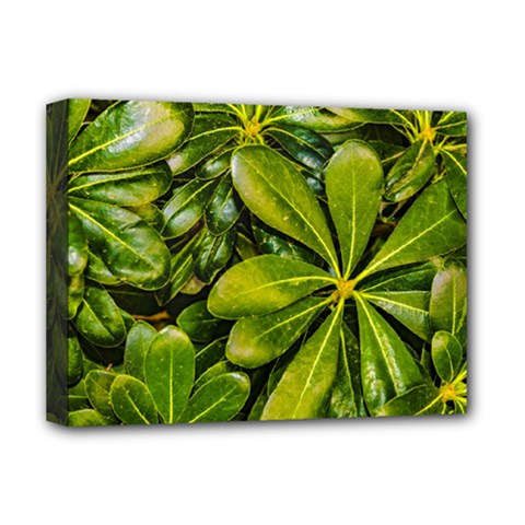 Top View Leaves Deluxe Canvas 16  X 12   by dflcprints