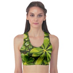 Top View Leaves Sports Bra by dflcprints