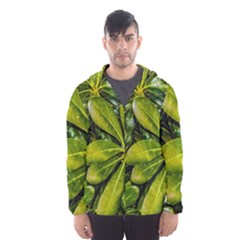 Top View Leaves Hooded Wind Breaker (men) by dflcprints