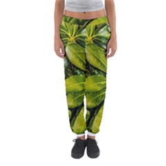 Top View Leaves Women s Jogger Sweatpants by dflcprints