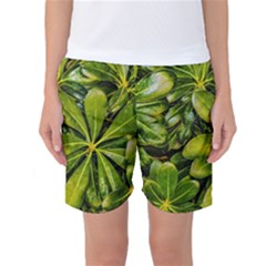 Top View Leaves Women s Basketball Shorts by dflcprints