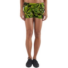 Top View Leaves Yoga Shorts by dflcprints