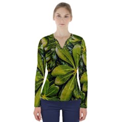 Top View Leaves V-neck Long Sleeve Top by dflcprints