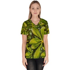 Top View Leaves Scrub Top