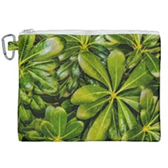 Top View Leaves Canvas Cosmetic Bag (xxl) by dflcprints