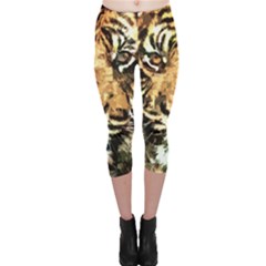 Tiger 1340039 Capri Leggings  by 1iconexpressions