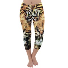 Tiger 1340039 Capri Winter Leggings  by 1iconexpressions