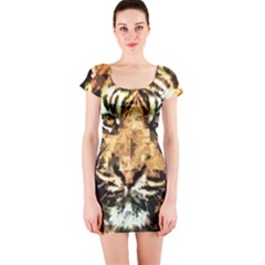 Tiger 1340039 Short Sleeve Bodycon Dress by 1iconexpressions