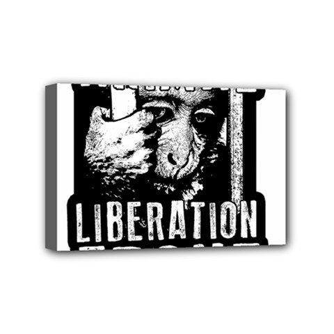 Animal Liberation Front - Chimpanzee  Mini Canvas 6  X 4  by Valentinaart