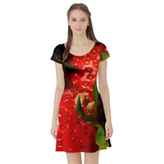 Red Strawberries Short Sleeve Skater Dress by snowwhitegirl