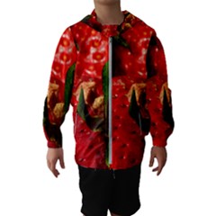 Red Strawberries Hooded Wind Breaker (kids) by snowwhitegirl