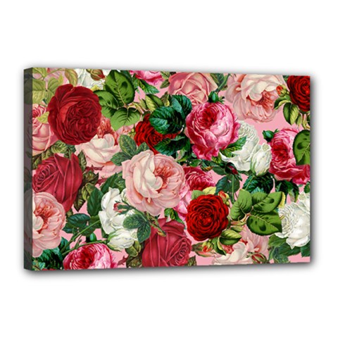 Rose Bushes Canvas 18  X 12  by snowwhitegirl