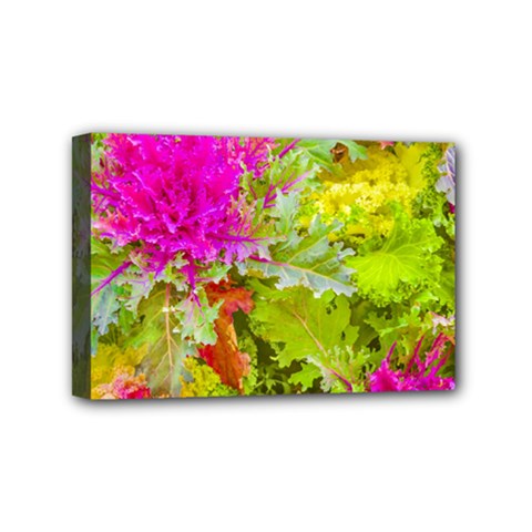 Colored Plants Photo Mini Canvas 6  X 4  by dflcprints